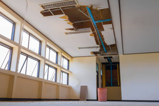 Best Ceiling water damage repair  in Nikiski, AK