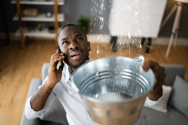 Best Water damage restoration insurance claims  in Nikiski, AK