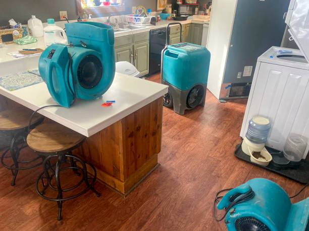Best Basement water damage restoration  in Nikiski, AK
