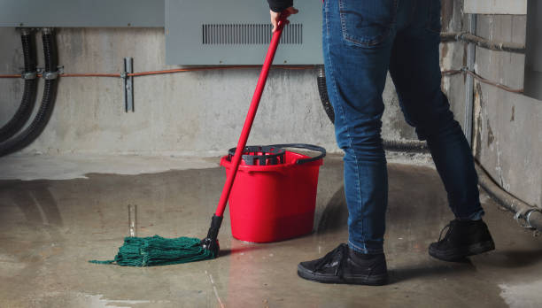 Best Fire Damage Restoration  in Nikiski, AK