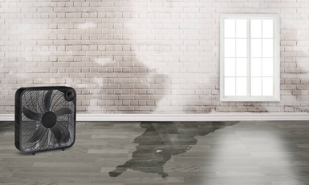 Best Residential water damage restoration  in Nikiski, AK