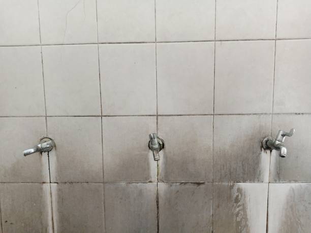 Best Professional water damage repair  in Nikiski, AK